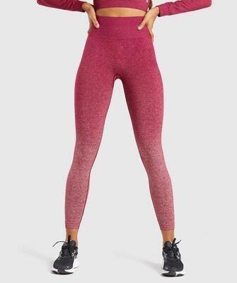 Shadowfit Ombre Leggings – FITFRENCHIES