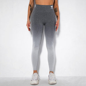 Legging Ombré Seamless-Fit - FITFRENCHIES