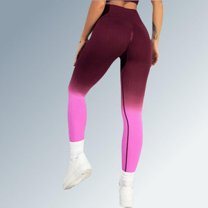 Legging Ombré Pulse Seamless-fit - FITFRENCHIES