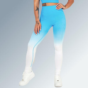 Legging Ombré Pulse Seamless-fit - FITFRENCHIES