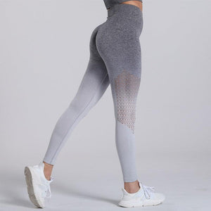 Legging ombré Shadowfit - FITFRENCHIES